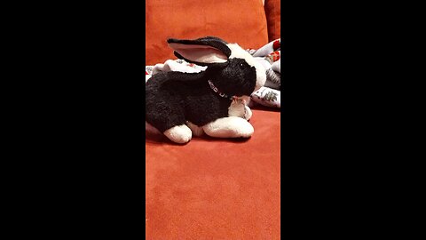 Bunny flops