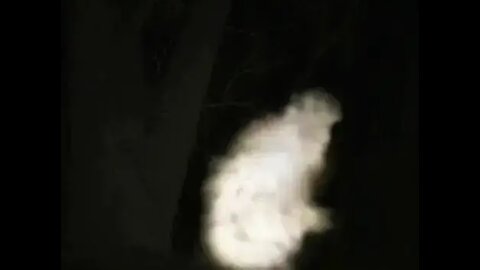 Eyewitness see's Bigfoot's Ghost