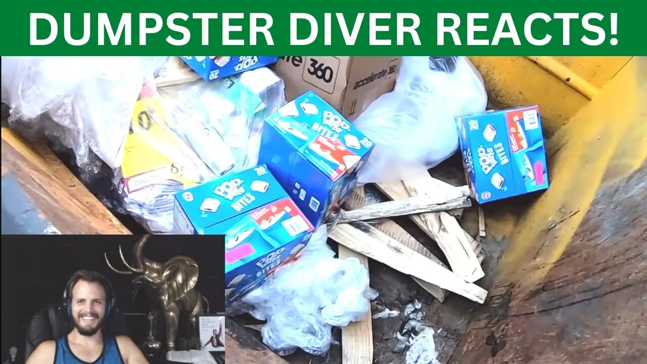 Dumpster Diver Reacts: Poptarts in the dumpster!