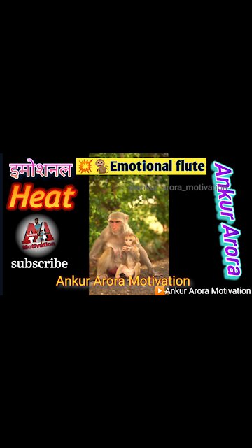 monkey and baby emotional video