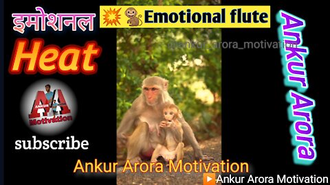 monkey and baby emotional video