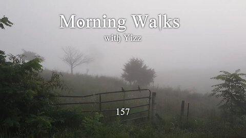 Morning Walks with Yizz 157