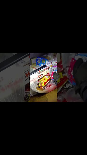 Candy Score!!! Dumpster Diving at Party City!!!