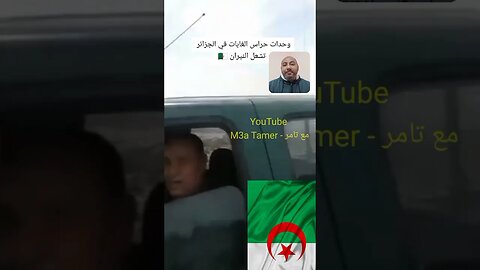 حراس الغابات شـ ـدوهم حيـ ـين يشـ ـعلو العافـ ـيه في الغابة