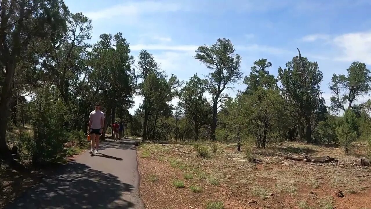 Walnut Canyon National Monument | Rim Trail