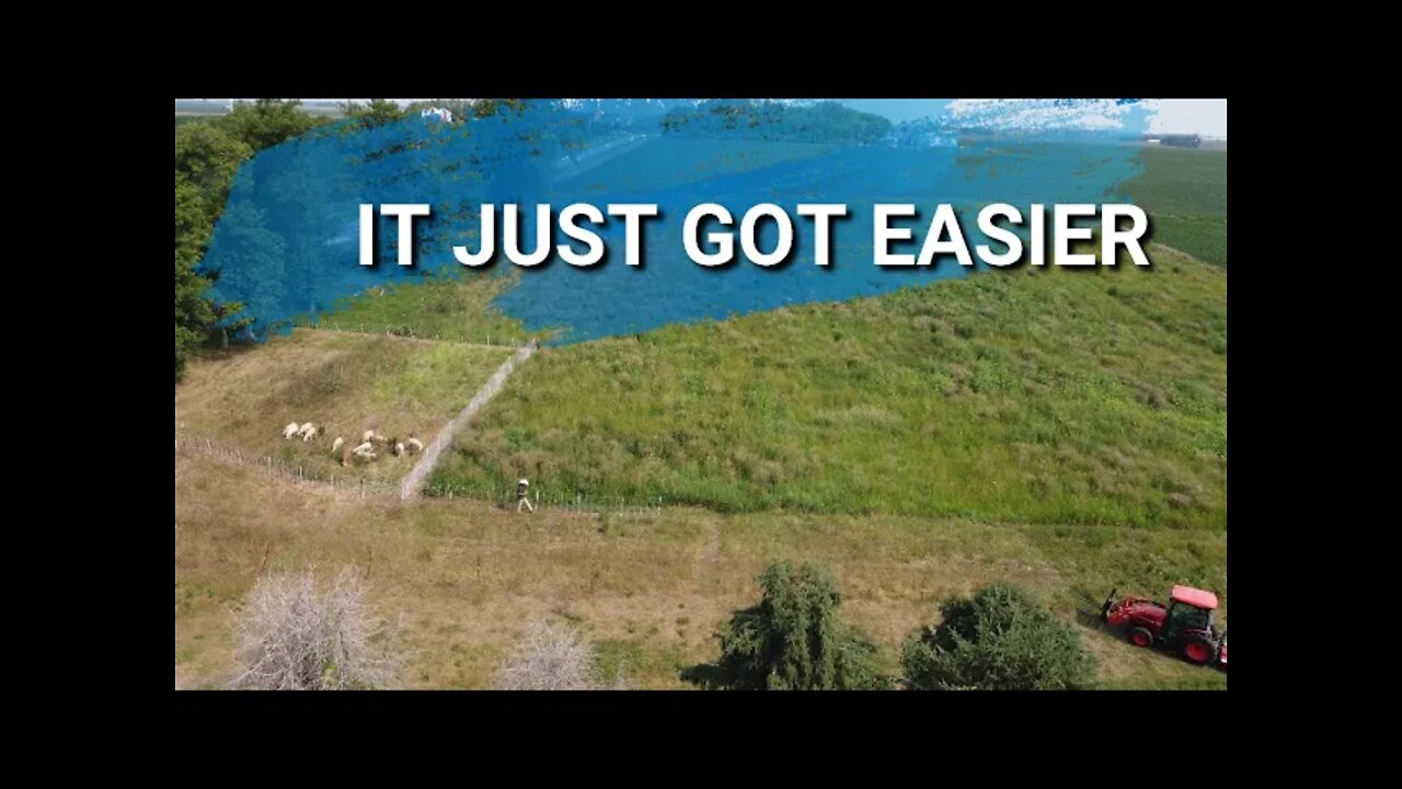 Moving Sheep Just Got Easier | How Is Our Pasture Doing? Improving The Land For The Future.