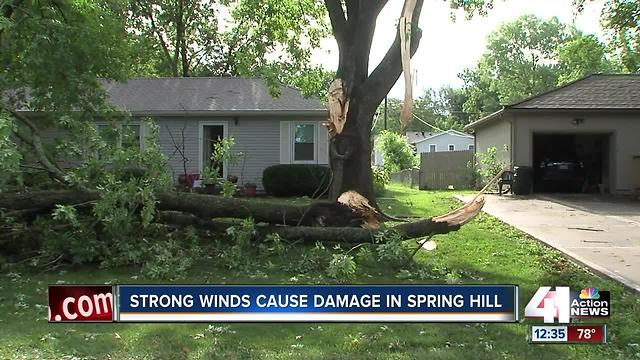 Strong winds cause damage in Spring Hill