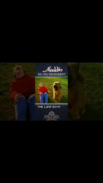 Who remembers #aladdin #sega #genesis #segagenesis