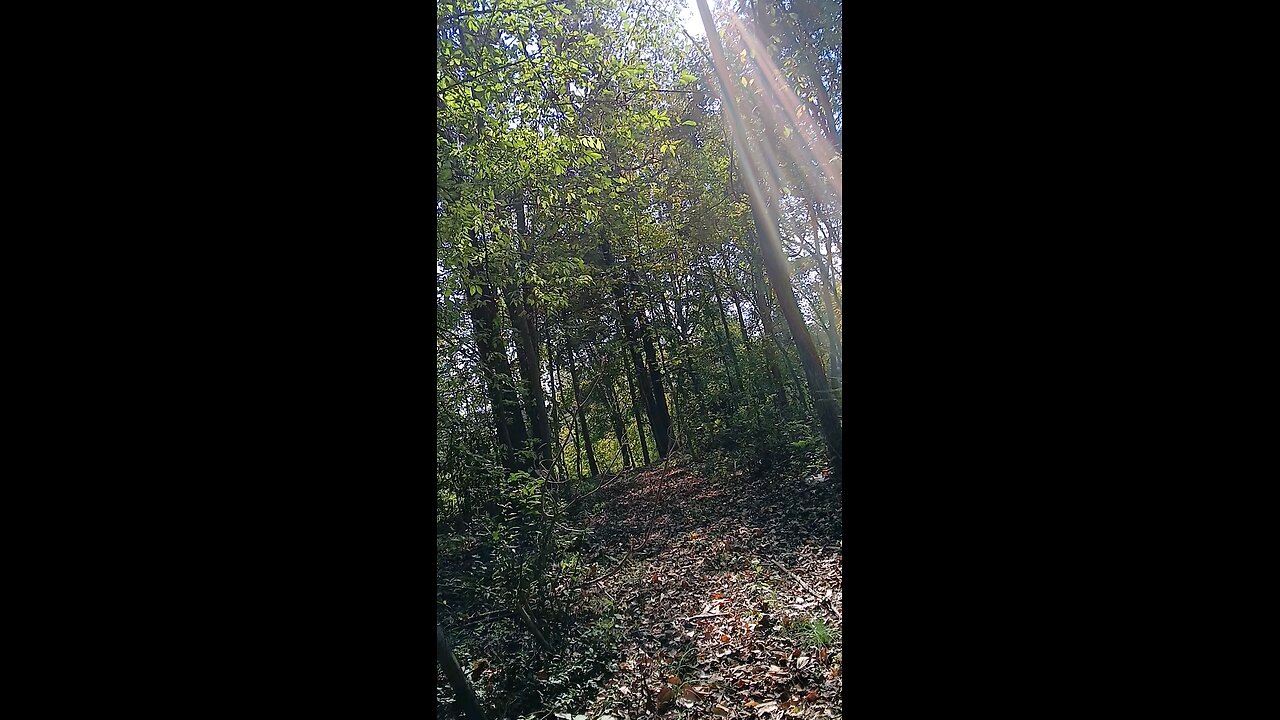 Sign Sign everywhere a sign