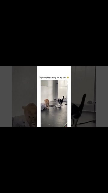 The Twitch had me dead￼