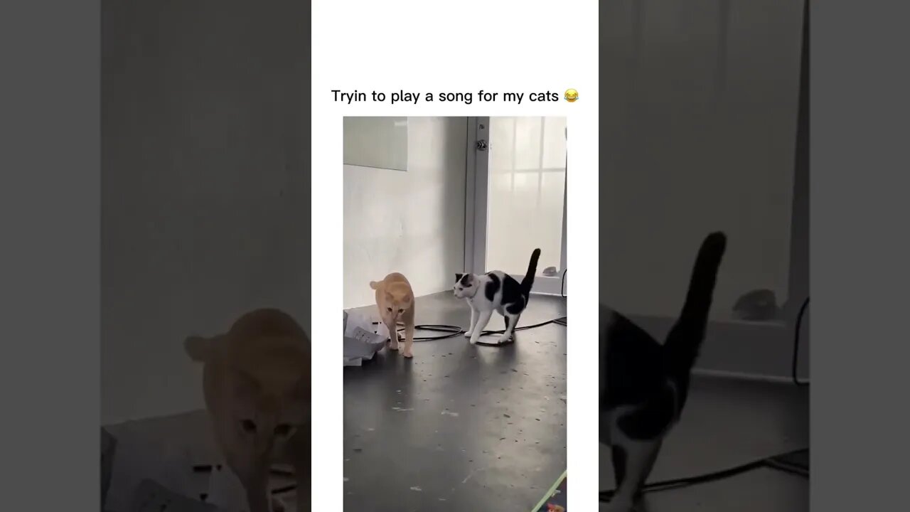 The Twitch had me dead