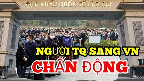 Chấn Động: Hàng Triệu Người TQ VÀO VN