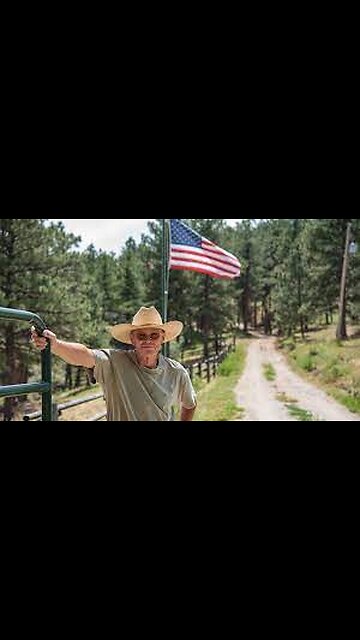 American farmers have declared war on a herd of wild pigs