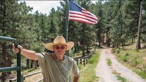 American farmers have declared war on a herd of wild pigs