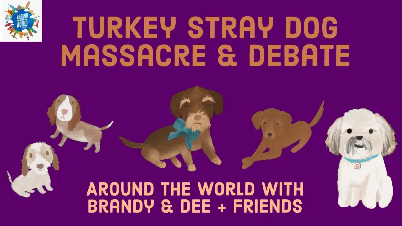 TURKEY STRAY DOG MASSACRE & DEBATE