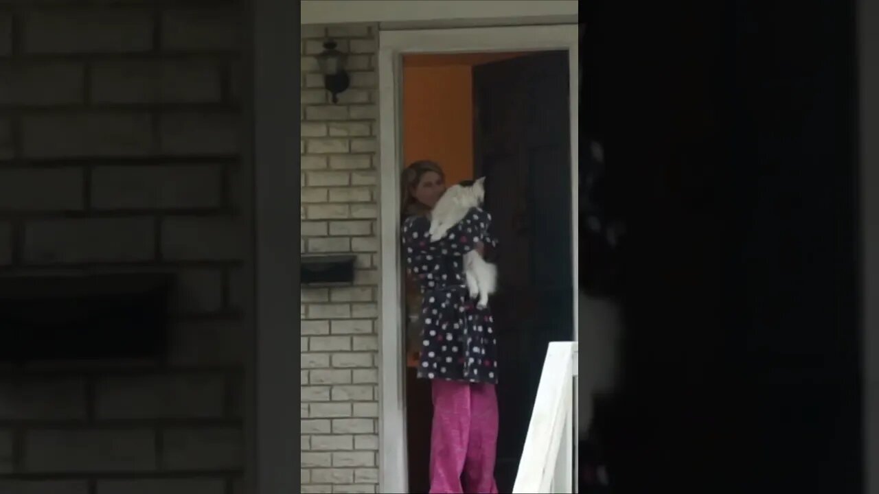 Snow Flakey Flake #shorts #cat #cats #catlover #catvideos #catlovers #kitty #kittycat #sister #cute