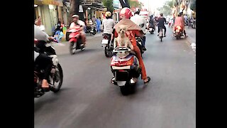 dog sitting on running motorbike (unbelievable)