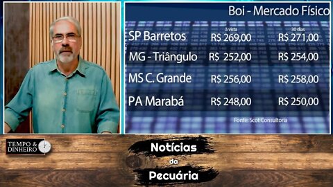 Boi gordo esboça reação de olho no consumo interno e problemas de logística