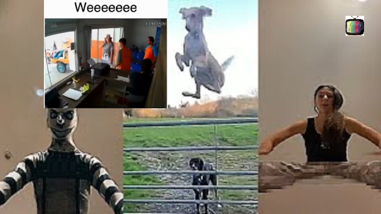 Weeeee Meme Compilation, Funny TikTok