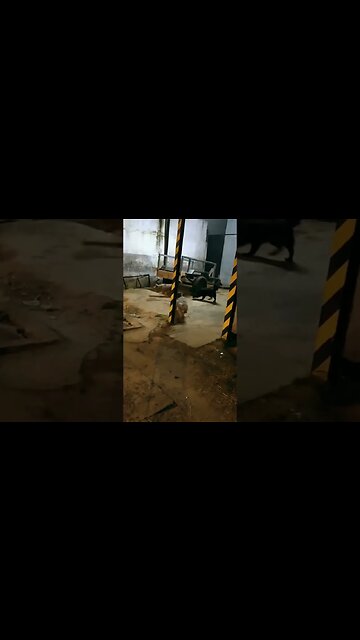 6 AM y la barra muy activa #tacuarembó #uruguay