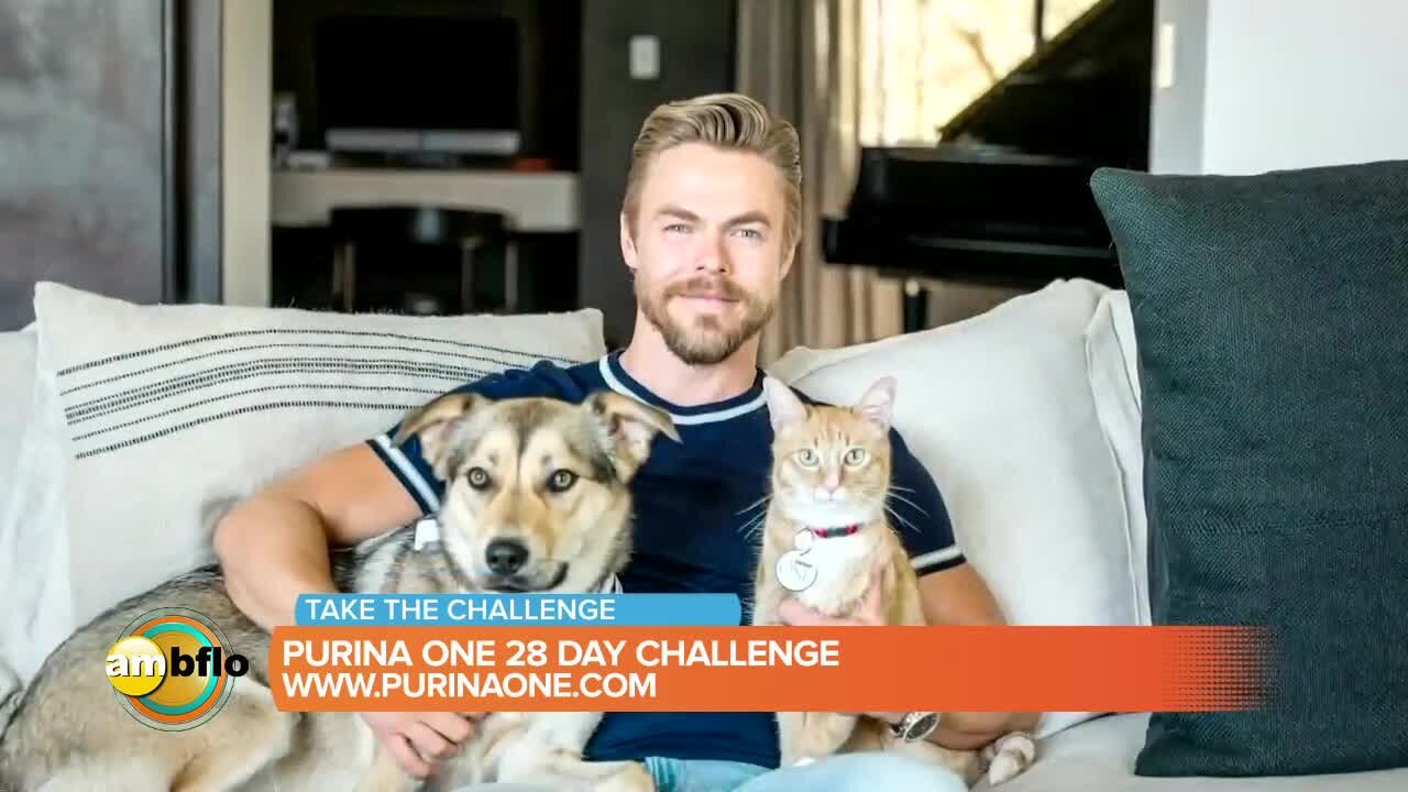 Purina One 28 Day Challenge