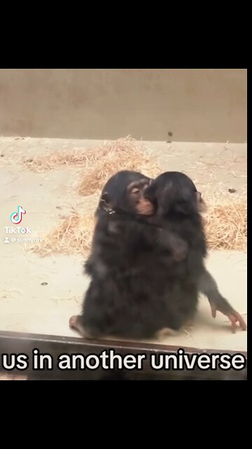 Us in another universe.