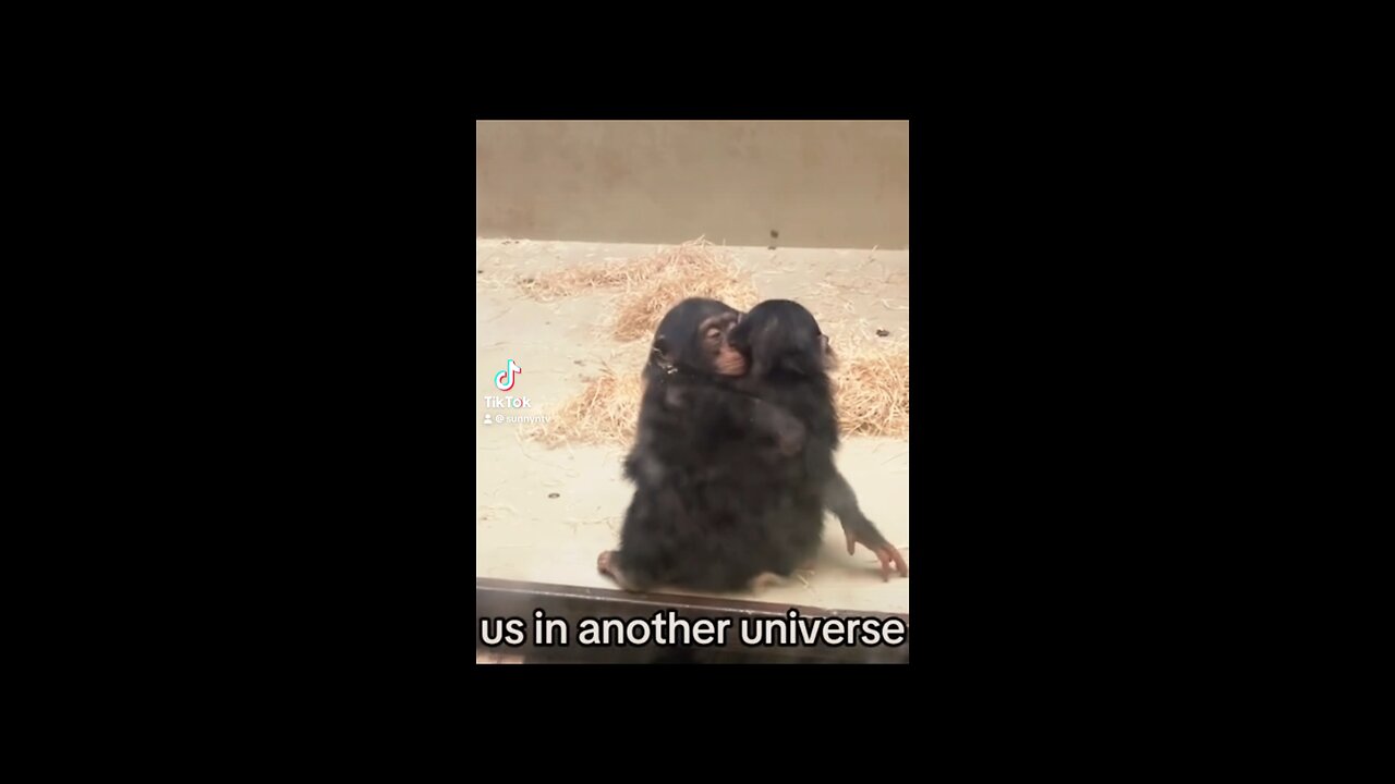 Us in another universe.