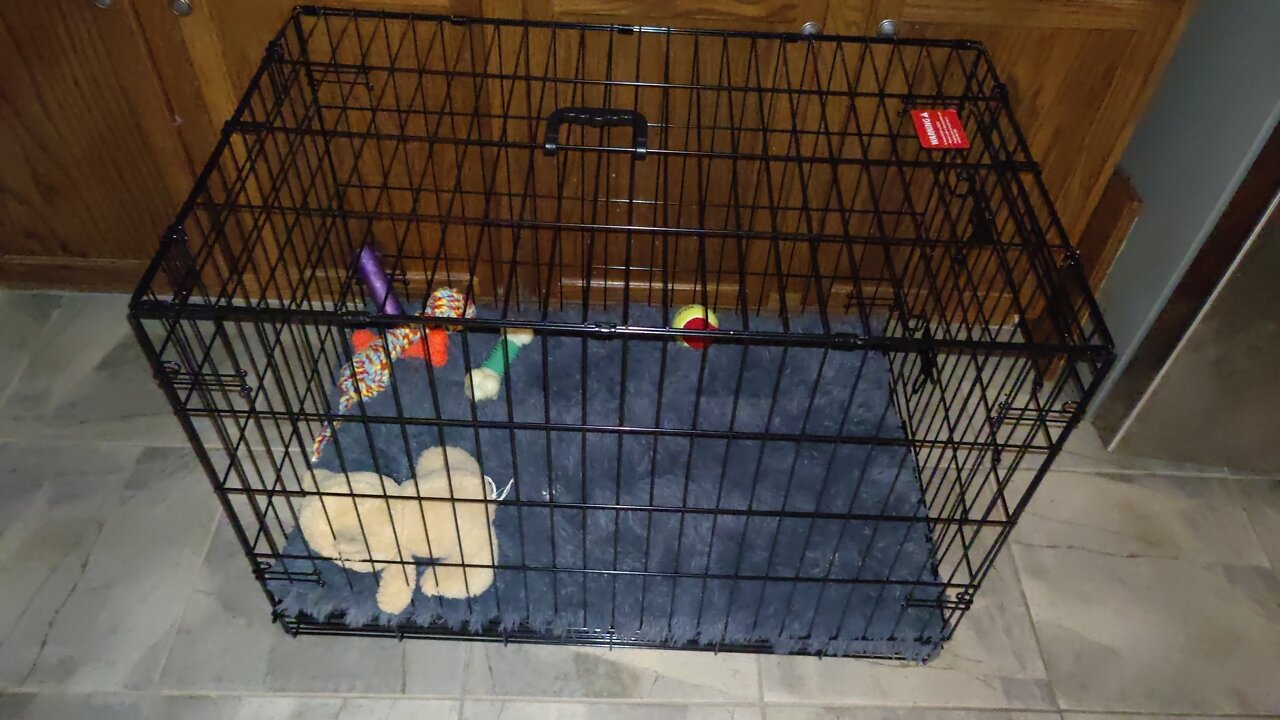 MidWest Homes 36'' Foldable Metal Wire Dog Crate