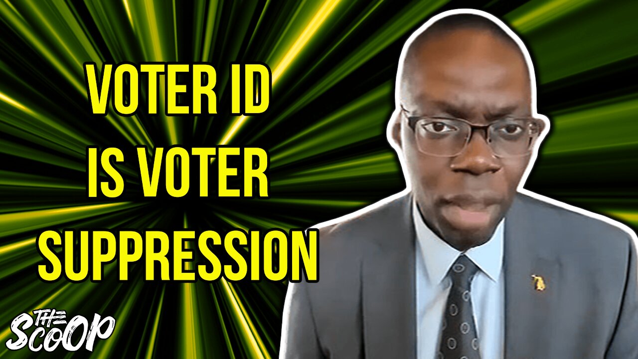 Michigan Lt. Gov. Claims Voter ID Laws Are Voter Suppression