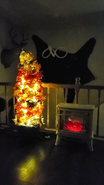 A Warm Peaceful Evening