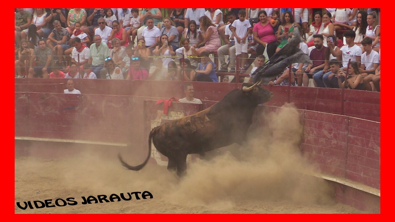 ARGUEDAS ( NAVARRA ) TARDE VACAS PLAZA ( SABADO 13 AGOSTO 2022 ) USTARROZ