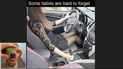 Memes That Will 99.95% Make You Laugh. (e175)