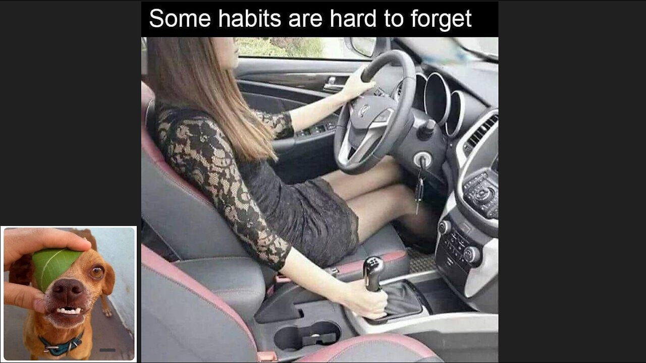 Memes That Will 99.95% Make You Laugh. (e175)