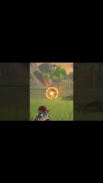 BOTW: Long Range Attack...Bye Bye