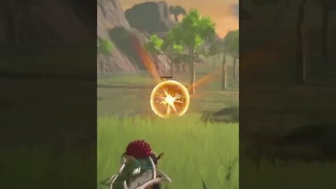 BOTW: Long Range Attack...Bye Bye