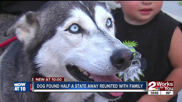 Joint effort leads to recovery of stolen dog from OKC