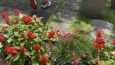 Flower visit in Okinawa