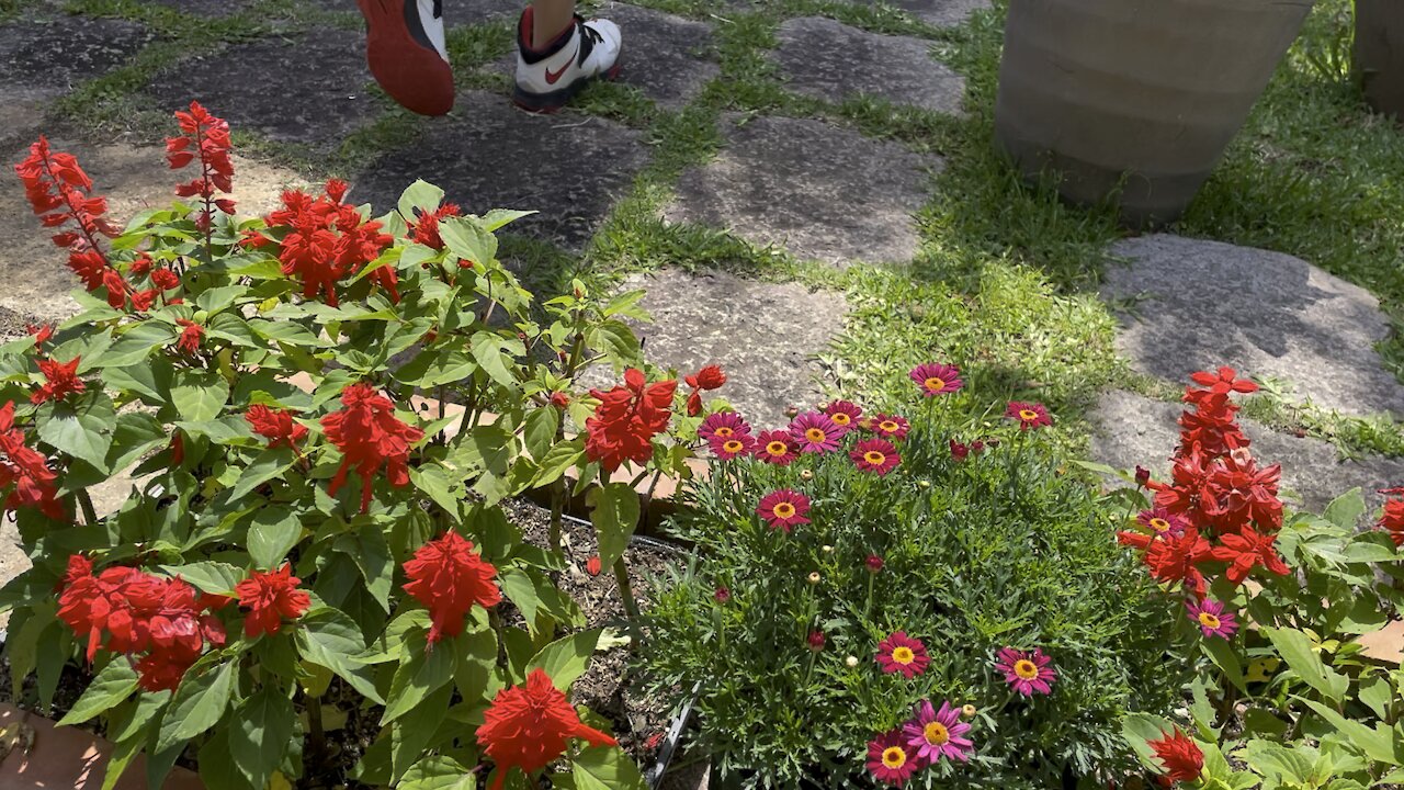 Flower visit in Okinawa