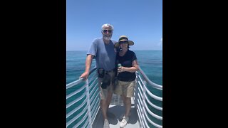 Glass Bottom Boat Adventure Key West May 2022