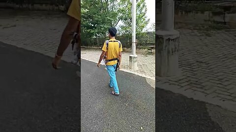 morning walk
