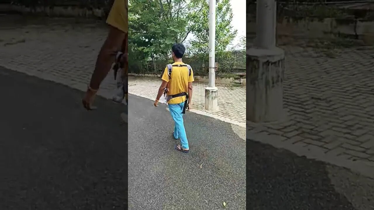 morning walk