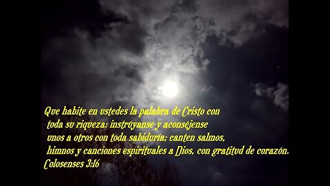 Versículo bíblico diario para hoy