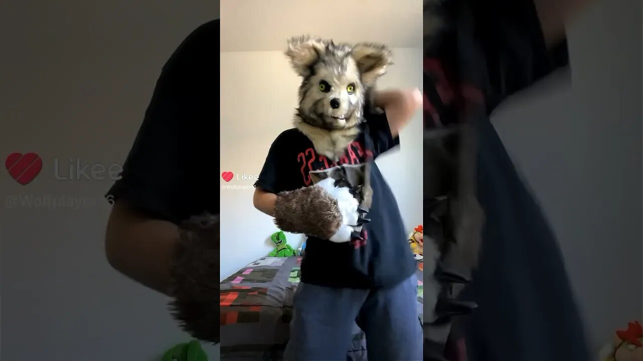 21 #furry #furryfandom #fursuit #fursuiter