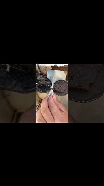 most Popular video(5)