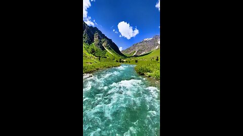 Pakistan beauty