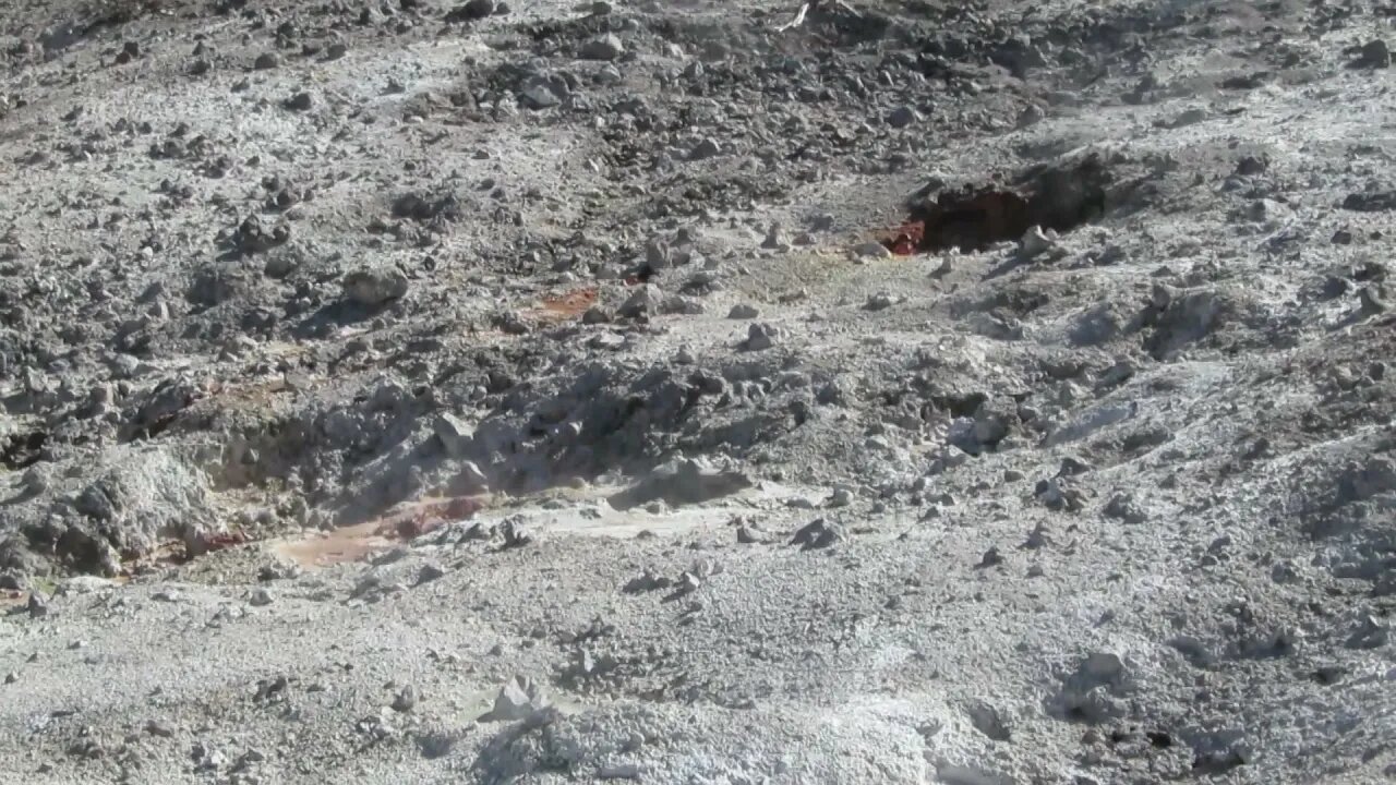 The Norris Geyser Basin in Yellowstone