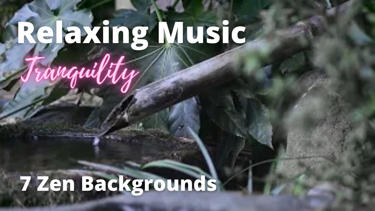 Tranquil piano music video for the ultimate relaxing and unwinding