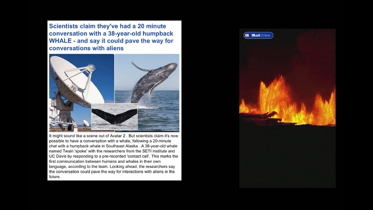 Whale communication. Apple Watch patent. Cyborg lady.