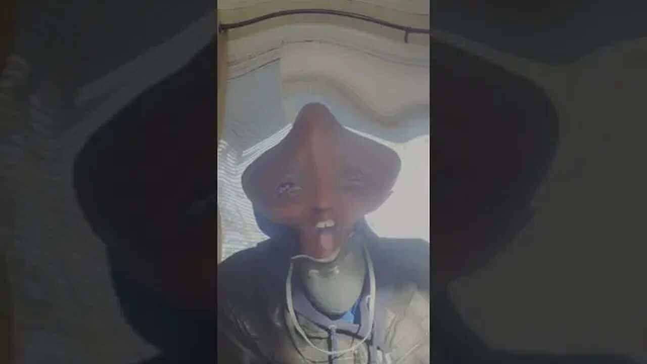 funny funny alien video # shorts #shortvideo # new video #