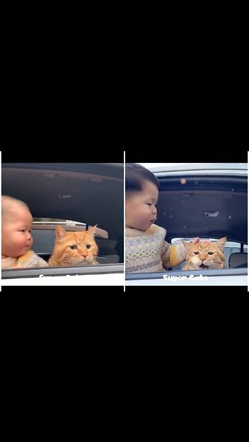 Toddler and cat amazing love affection as a best friends